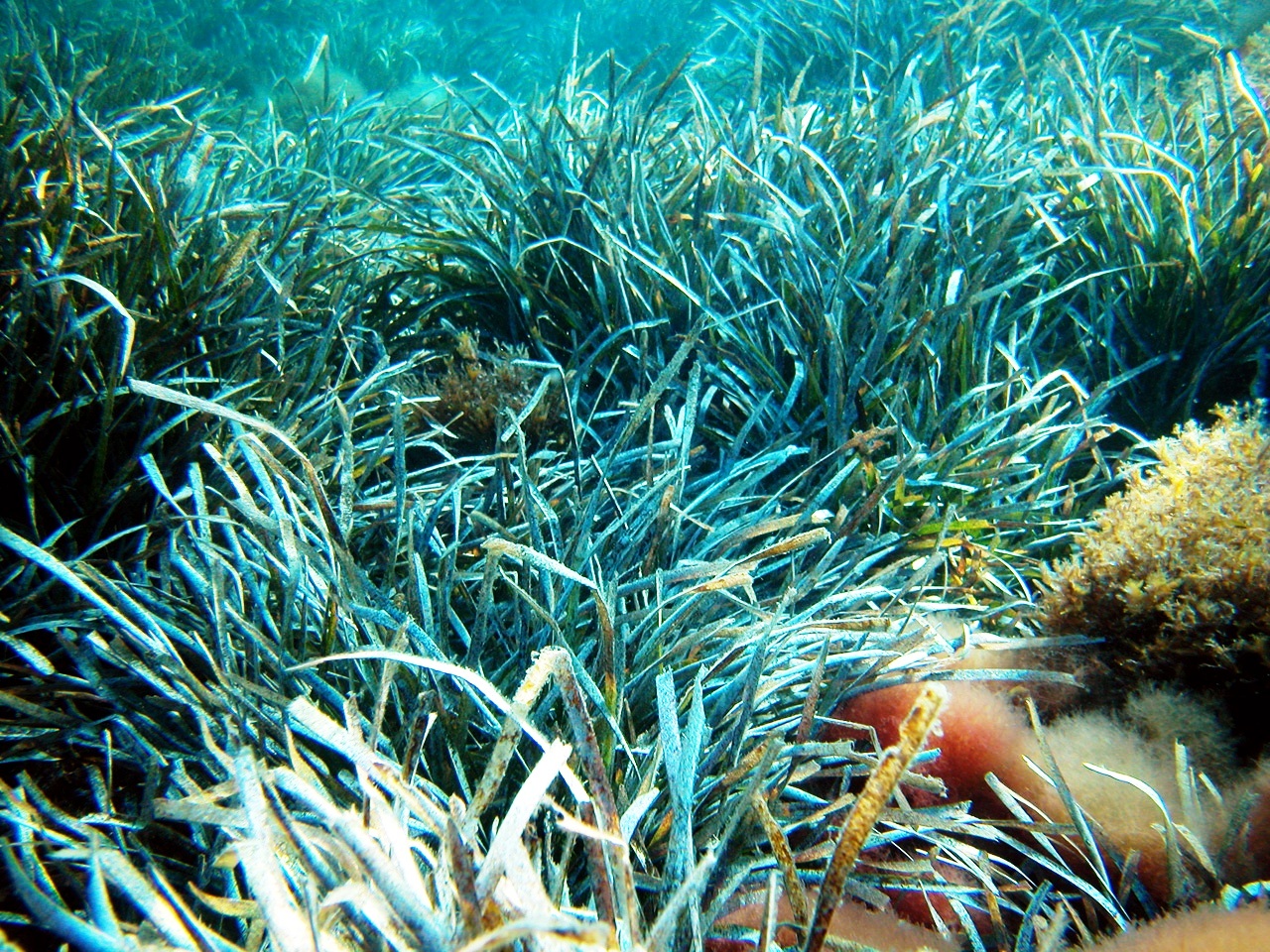 Il mare di Capoi Boi in Sardegna