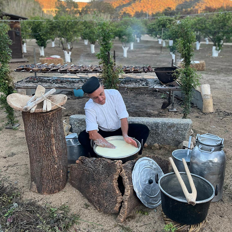 b99500e3-0131-4c48-8c30-85dac65b0464