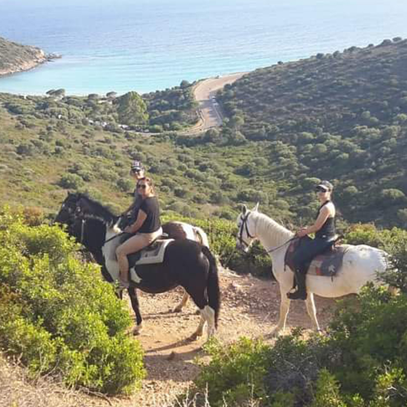 c4d48581-eaff-41b4-9ef5-5043c7dec67a